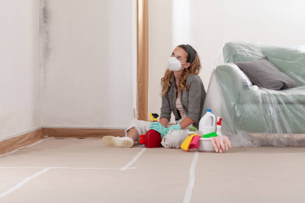 Reliable Commercial Mold Remediation contractor in Elmont, NY by WQB Mold Removal